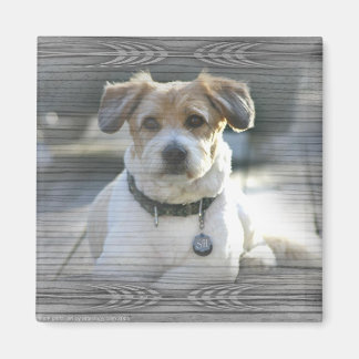 Herr Henry Magnet