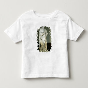 Herr Isaac Newton Tee