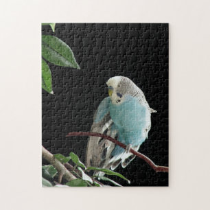 Herr Jill Budgie pussel