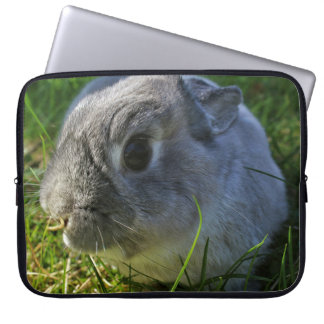Herr kanin nära övre laptop fodral