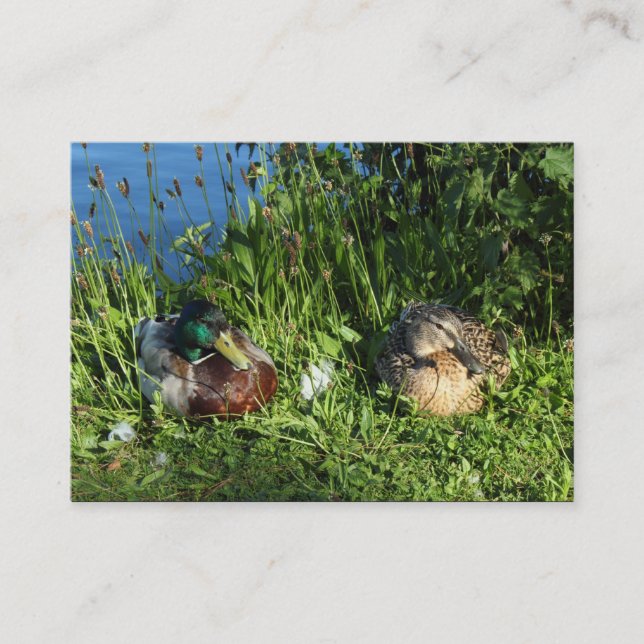 Herr och fru Mallard Visitkort (Framsida)