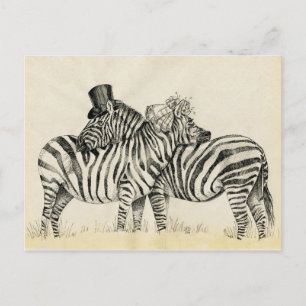 Herr och fru Zebra Finare par Vykort