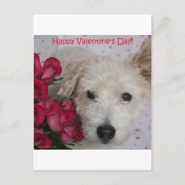 Herr Pish och dussint en rovalentin kort för dag (Framsida)