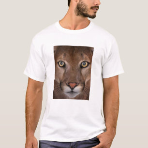 Herr puma t-shirt