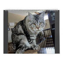 Herr Valp-Sockor kalender