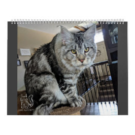 Herr Valp-Sockor kalender