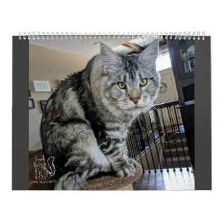 Herr Valp-Sockor kalender