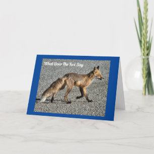 Herr Vild Fox Födelsedagskort Kort