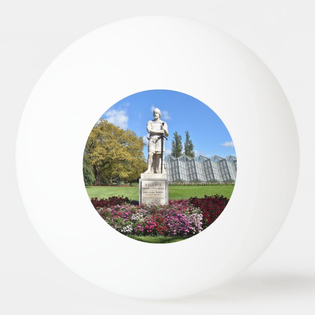 Herr William Wallace Statue Pingisboll (Framsidan)