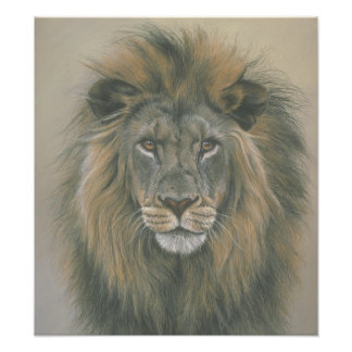 Herre Jungle Lejon Poster