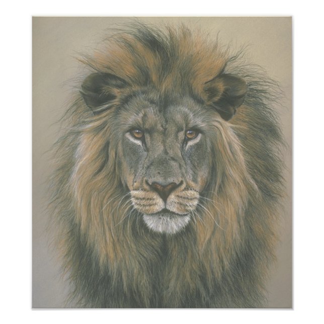 Herre Jungle Lejon Poster (Framsidan)