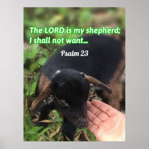 Herren är min herdebibel Verse Bild Poster