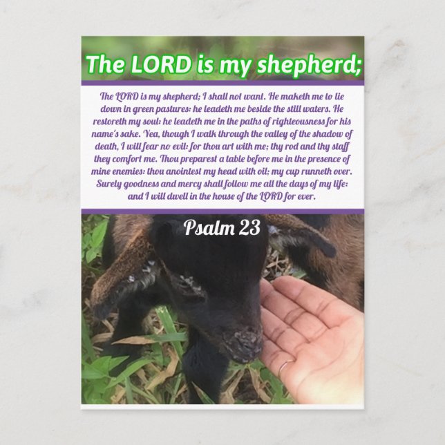 Herren är min Shepherd Psalm 23 bible Verse Vykort (Framsida)
