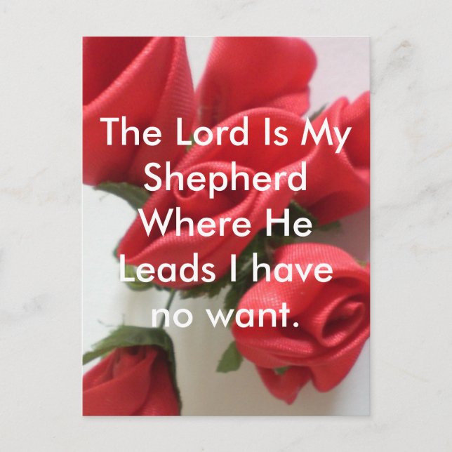 Herren är min Shepherd Vykort (Framsida)