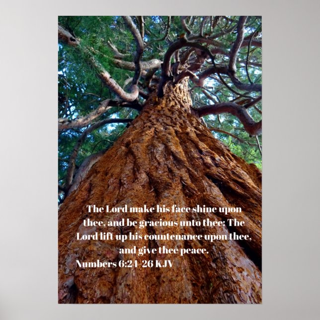 Herren får sin ansikte att skina på... poster (Framsidan)