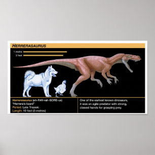 Herrerasaurus - Biologi Dinosaurie Jurassic Poster