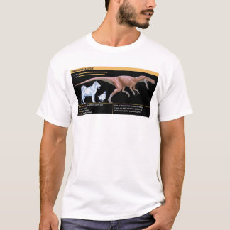 Herrerasaurus - Dinosaur Biology Jurassic T Shirt