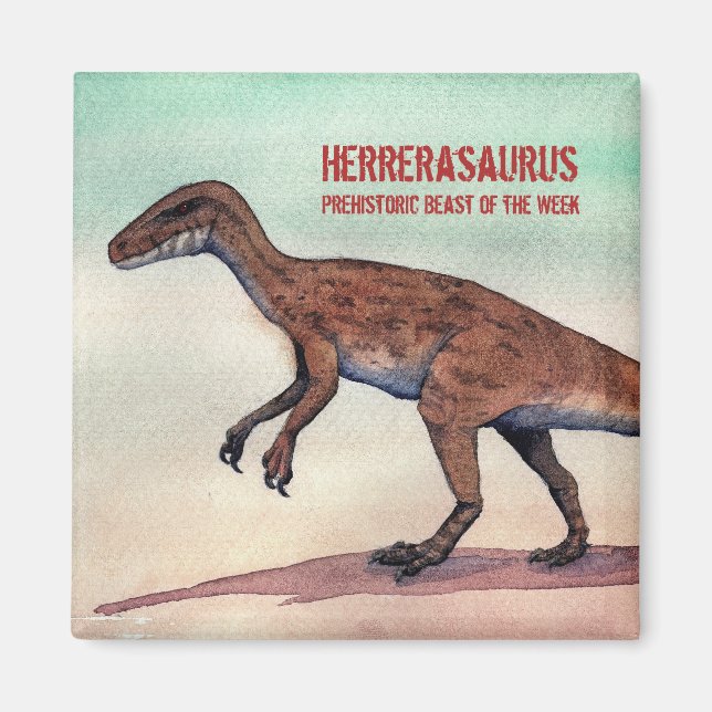 Herrerasaurus Magnet (Framsidan)
