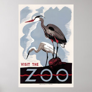 Herron amerikansk rördrom zoo fågelreklam poster
