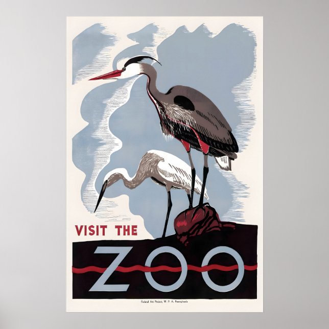Herron amerikansk rördrom zoo fågelreklam poster (Framsidan)