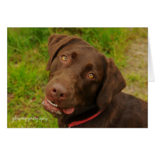 Hershey Hälsningskort