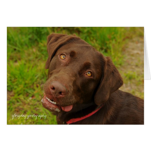 Hershey Hälsningskort (Framsidan Horizontal)