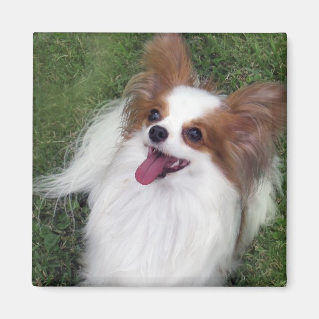 Hershey Kiss Hero Kennel Merchandise Magnet (Framsidan)