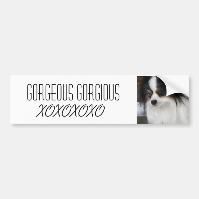 Hershey kysshjälte Merch Bildekal (Framsidan)