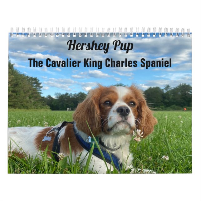 Hershey Valp Cavalier Kung Charles Spain Calendar Kalender (Omslag)