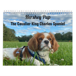 Hershey Valp Cavalier Kung Charles Spain Calendar Kalender