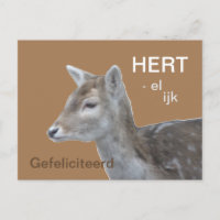 HERTelijk Gefeliciteerd VerjaarapparBriefkaart