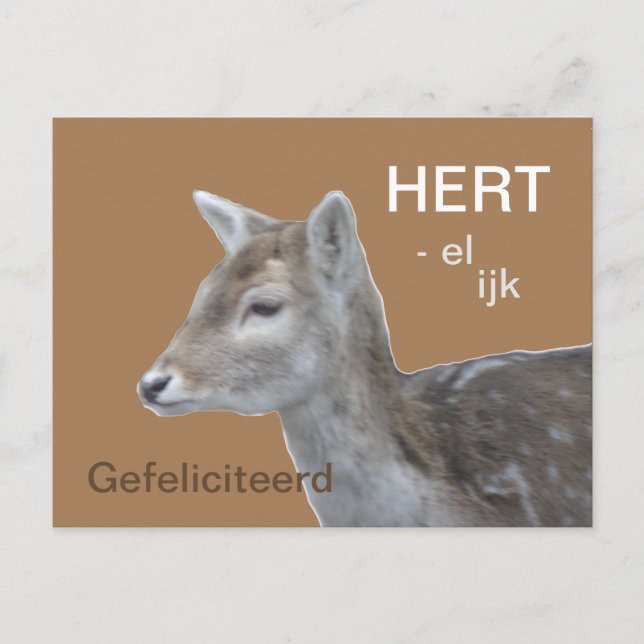 HERTelijk Gefeliciteerd VerjaarapparBriefkaart Vykort (Framsida)