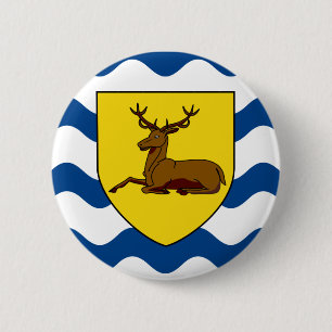 Hertfordshire-flagga Pinback-knapp Knapp