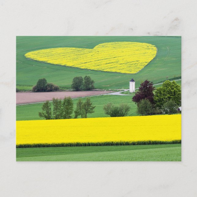 Herzlich Vykort (Framsida)