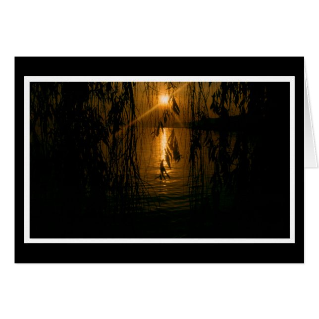 Herzliche Anteilnahme 1 Karte Hälsningskort (Framsidan Horizontal)