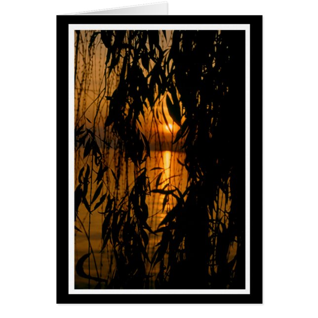 Herzliche Anteilnahme 2 Karte Hälsningskort (Framsidan)