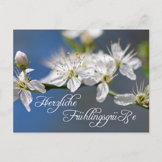 Herzliche Frühlingsgrüße Vykort (Framsida)