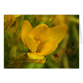 Herzliche Glückwünsche Hälsningskort