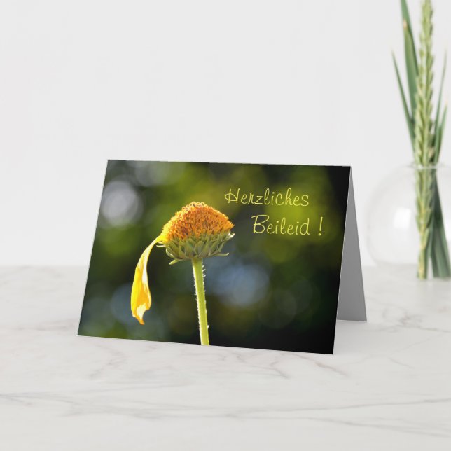 Herzliches Beileid ! Mit gelber Blüte Kort (Framsida)