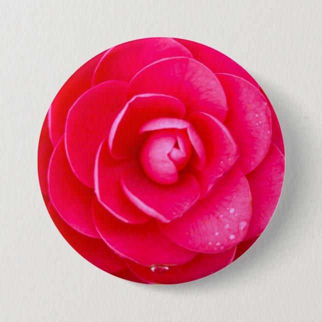 Hetero Rosa Dahlia  Knapp (Framsida)