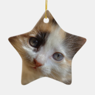 Heterochromia Calico Kitten Julgransprydnad Keramik