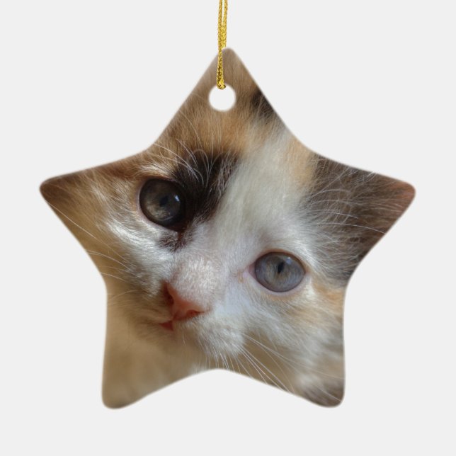 Heterochromia Calico Kitten Julgransprydnad Keramik (Framsidan)