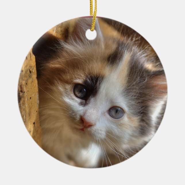 Heterochromia Calico Kitten Julgransprydnad Keramik (Framsidan)