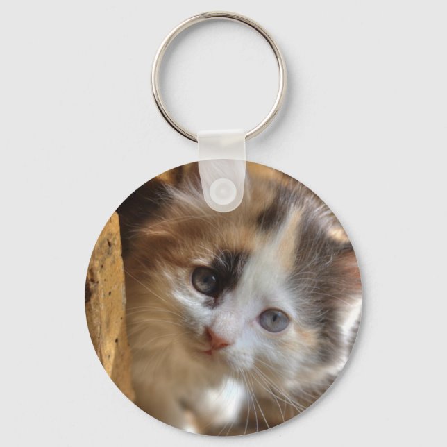 Heterochromia Calico Kitten Nyckelring (Framsida)