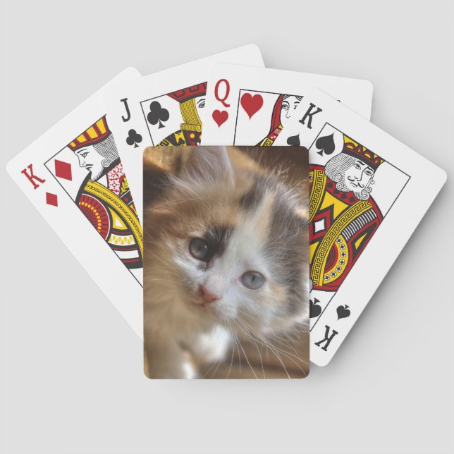 Heterochromia Calico Kitten Spel Kort (Baksidan)