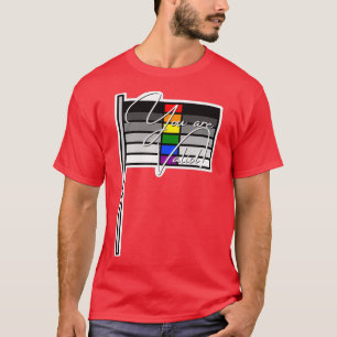 Heteroflexibelt Pride Du giltig Flagga T Shirt