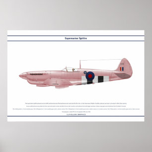 Hetlevrad person GB 16 Sqn 2 Poster