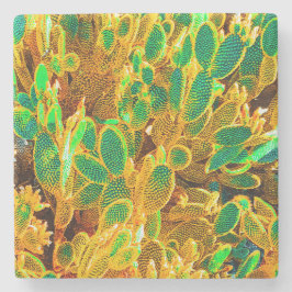 Hett Afrika Desert Cactus Plants Prickly Pear Stenunderlägg