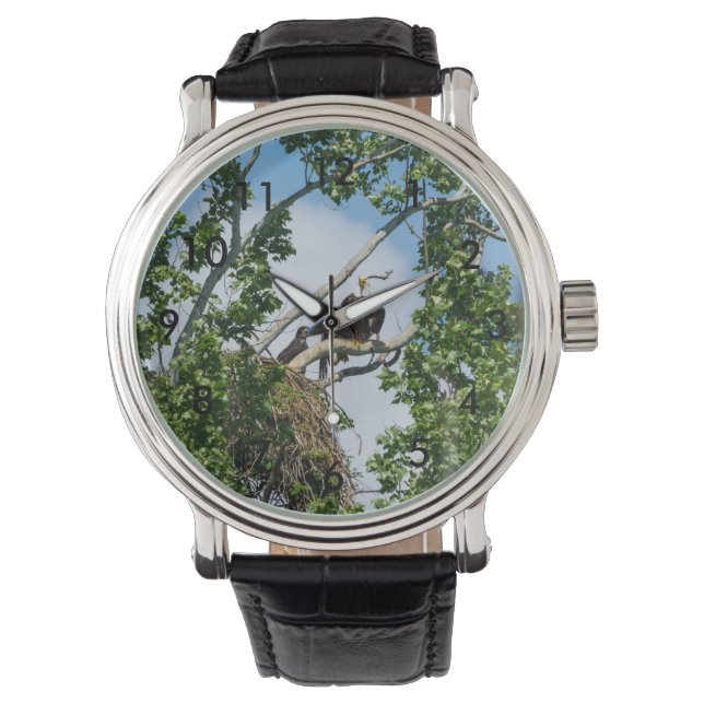 Hett Eagles Armbandsur (Framsida)