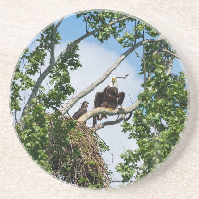 Hett Eagles Underlägg (Framsidan)